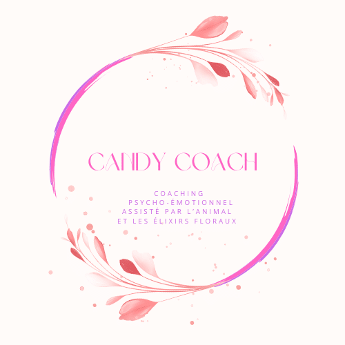 Candy Coach